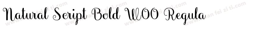 Natural Script Bold W00 Regular字体转换